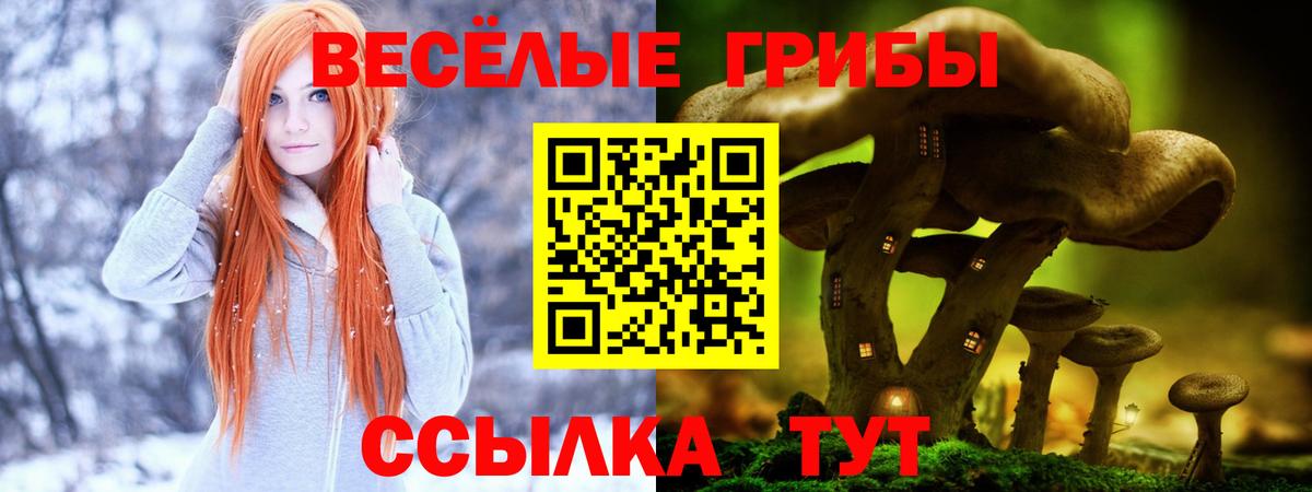 Псилоцибиновые грибы мицелий  купить   Борисоглебск  Вход с VPN 